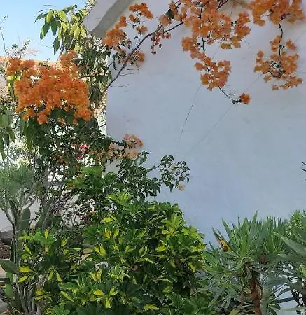 Holiday home Tres Beau Bungalow,jardin Tropical, Renovation Ete 2020 *