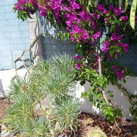 Tres Beau Bungalow,jardin Tropical, Renovation Ete 2020 Holiday home *